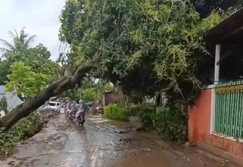 Besuki Diterjang Banjir Bandang Lagi, Tinggi Air Capai 1,5 Meter